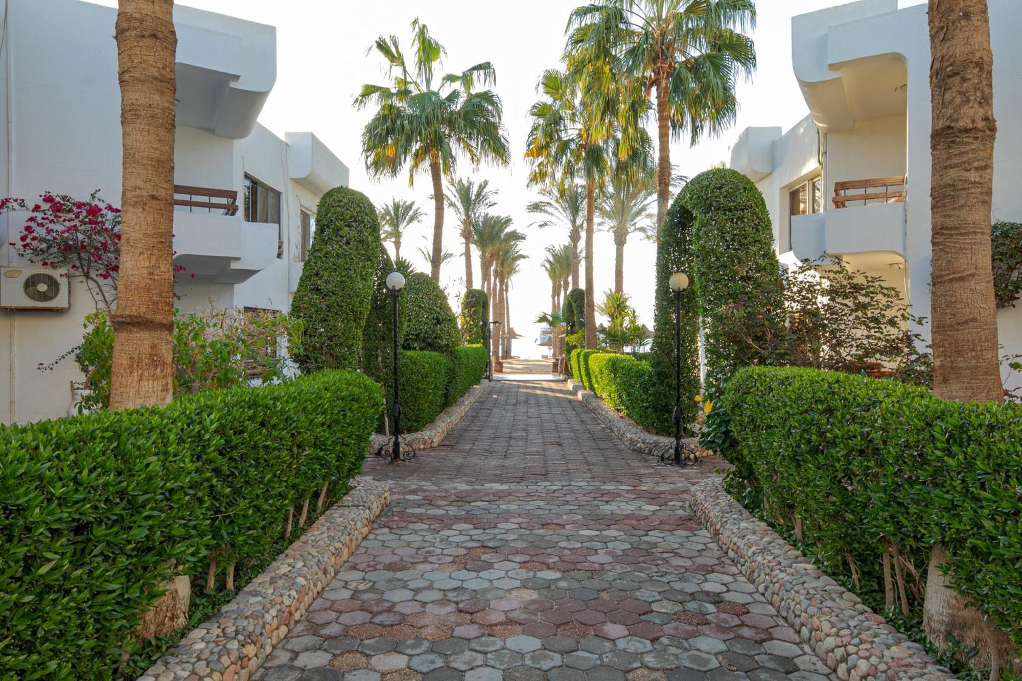 הורגהדה Marlin Inn Azur Resort מראה חיצוני תמונה